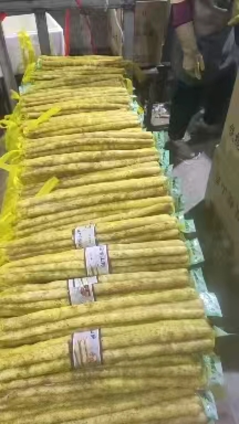 河北保定蠡县小白嘴山药大量上货欢迎随时咨询可接受预订