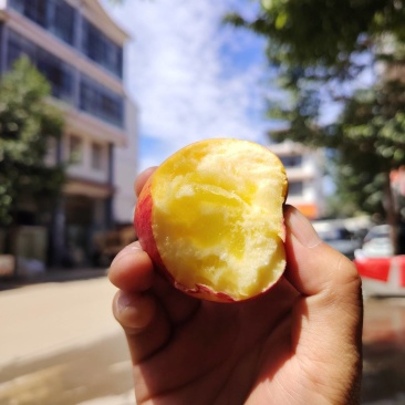 昭通糖心丑苹果代办，电商，团购。一件代发线上线下供应链