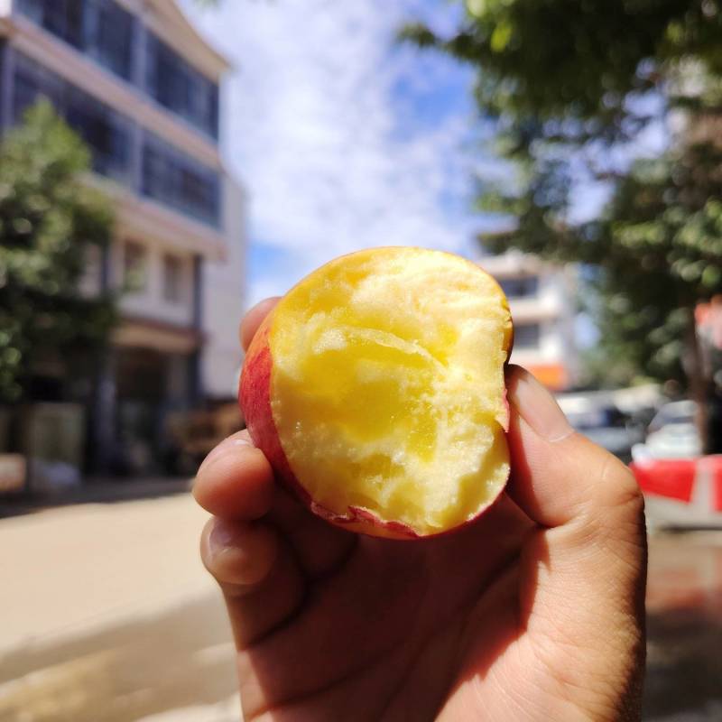 昭通糖心丑苹果代办，电商，团购。一件代发线上线下供应链