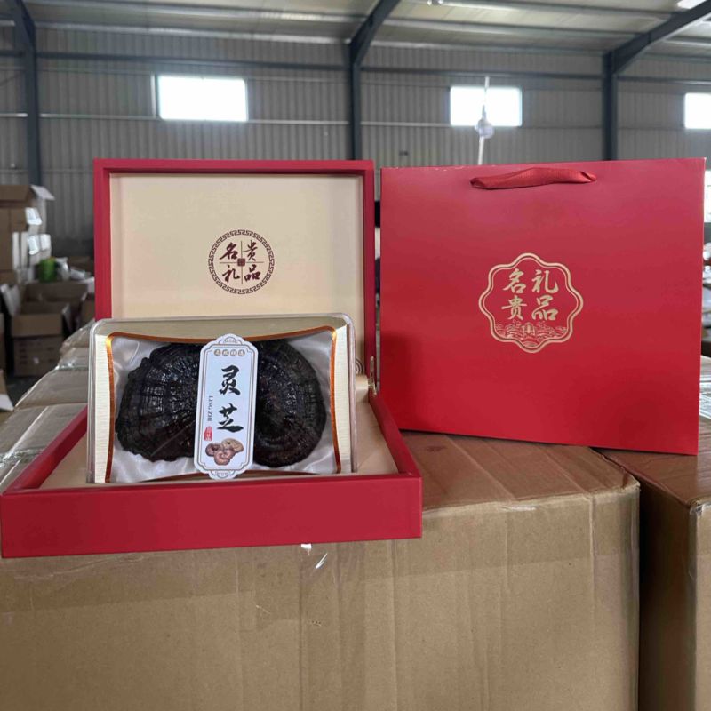 灵芝礼盒装批发