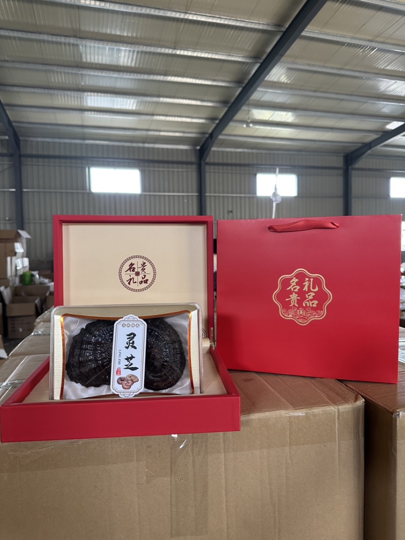 灵芝礼盒装批发