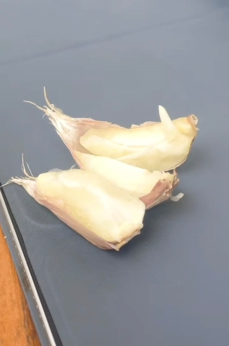 蒜苗种子红根蒜苗种子催芽蒜苗种子一手货源品质保证