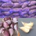 蒜苗种子红根蒜苗种子催芽蒜苗种子一手货源品质保证