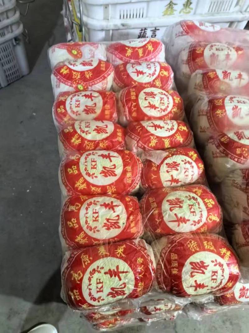 新鲜湖北娃娃菜，当地直供，品质保证。欢迎来到实地考察