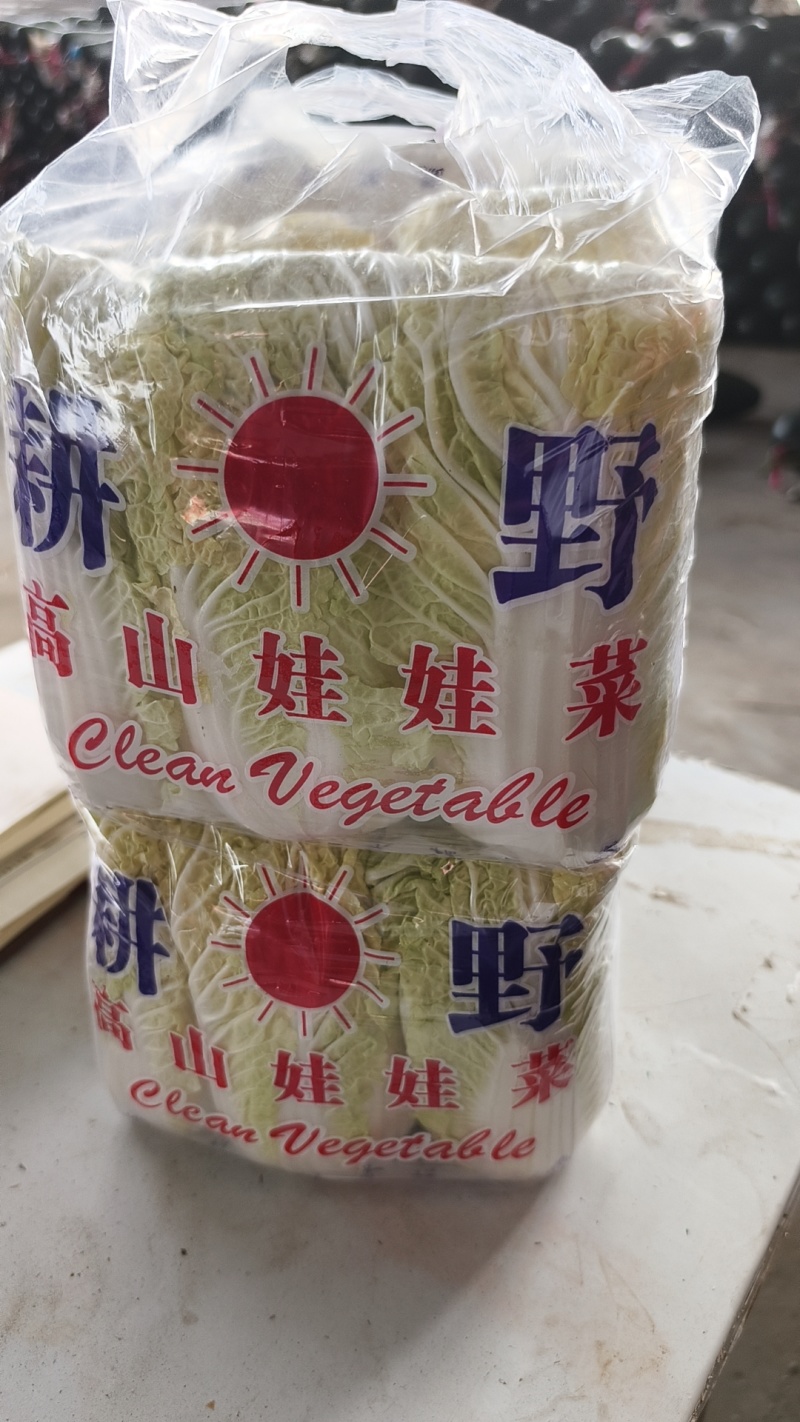 **漂亮的娃娃菜，产地一手货源需要的老板可以过来