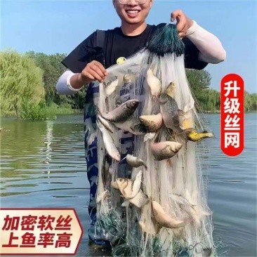 鱼网粘渔网捕鱼三层、单层沉网挂网鲤鱼鲫鱼白条鱼网