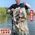 鱼网粘渔网捕鱼三层、单层沉网挂网鲤鱼鲫鱼白条鱼网