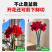 朱顶红种球混色发货花卉室内土培水培4-6公分