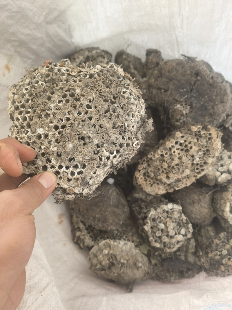 蜂房选山东蜂房新货关书药业批发中药材规格齐全