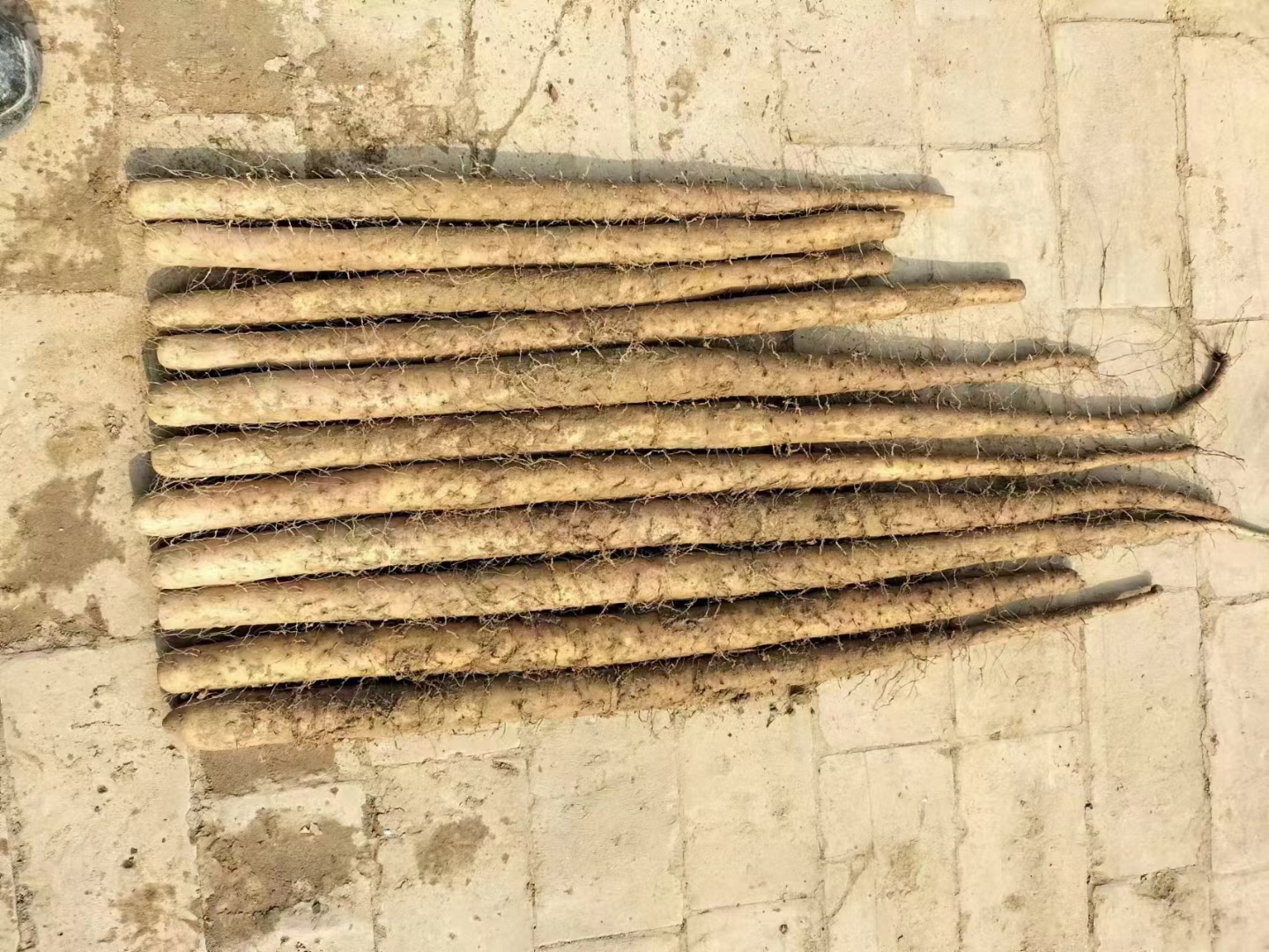 展示新鲜排骨、削好切段的山药和切块的冬瓜整齐摆放在案板上 冬瓜山药排骨汤食材摆盘图