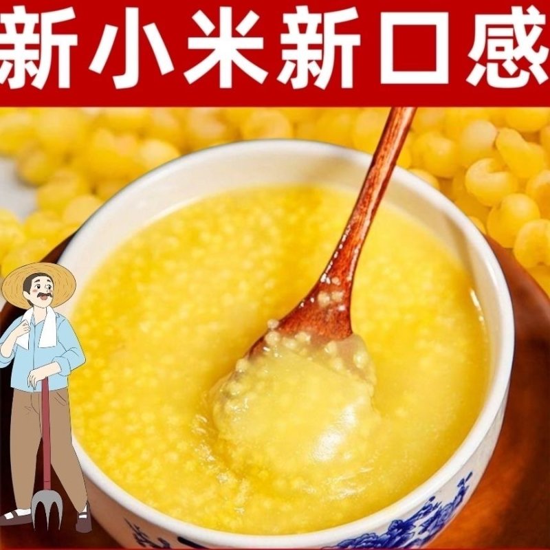 沂蒙山黄小米精品小米香软绵长产地货源可视频看货