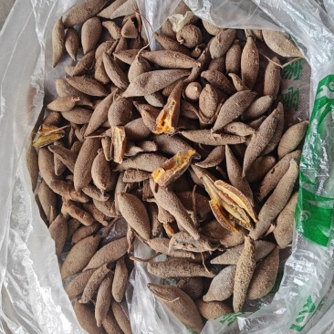 黄丝郁金统货，自产自销，