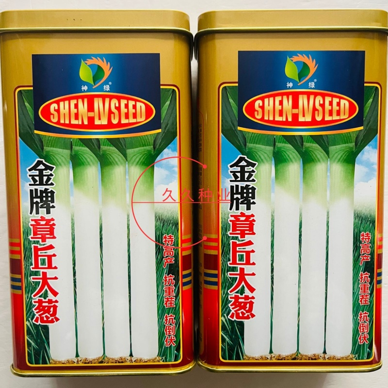 金牌章丘大葱种子四季葱种籽春秋蔬菜种籽香葱小孑葱籽蔬菜葱