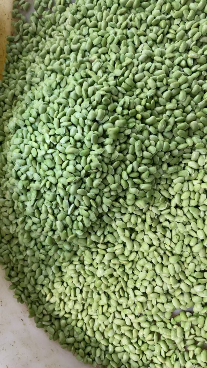 毛豆米毛豆粒毛豆仁品质好价格优惠量大价优，欢迎咨询