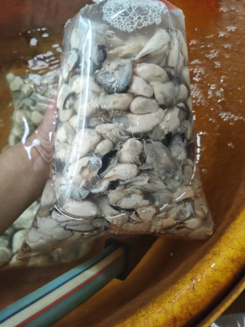 新鲜生蚝，海鲜美味，**特惠！