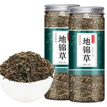 地锦草