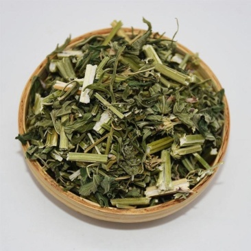 益母草