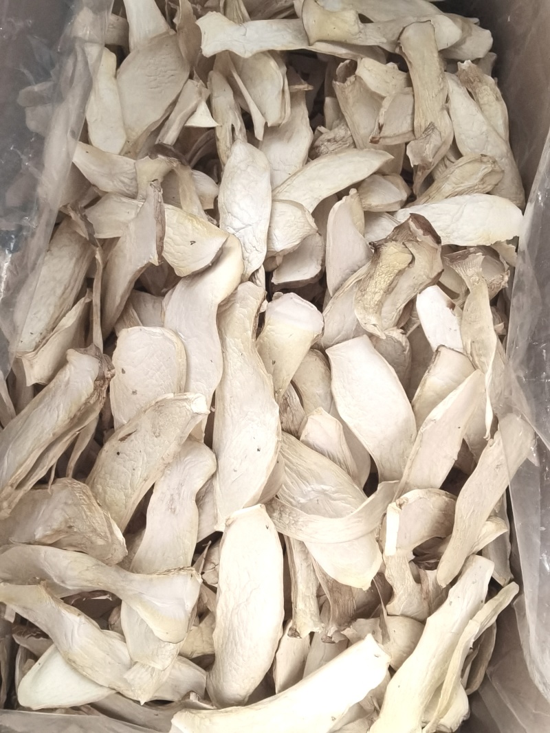 杏鲍菇片嫩仔颗粒等