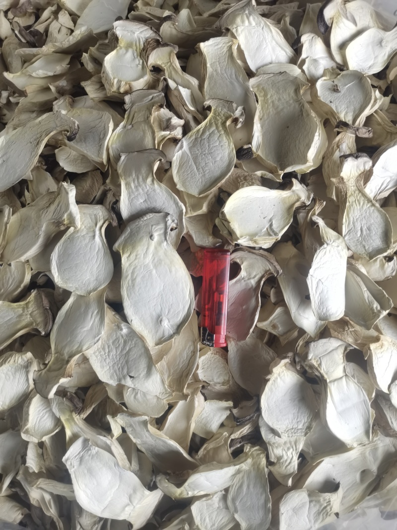 杏鲍菇片嫩仔颗粒等