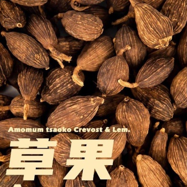 干草果与湿草果