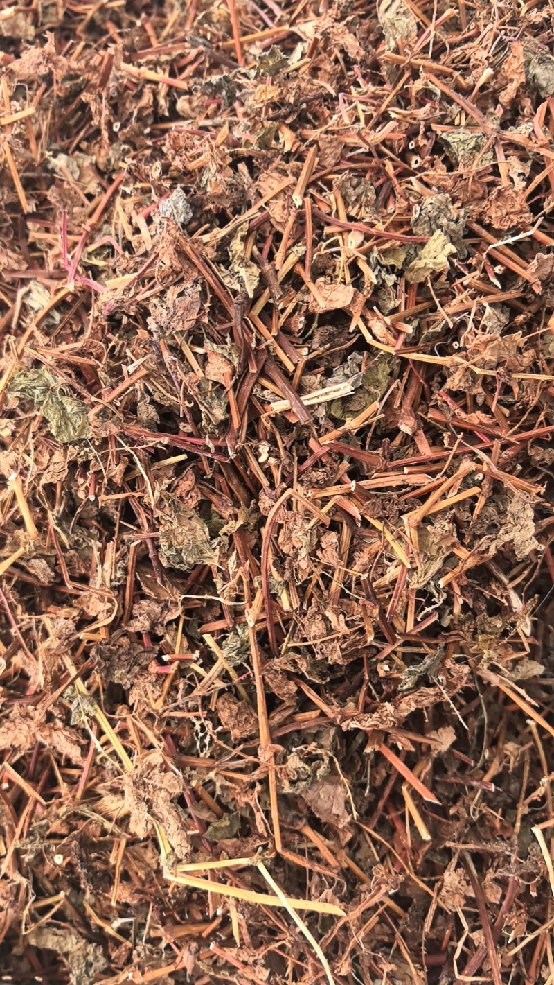 杠板归，货源充足
