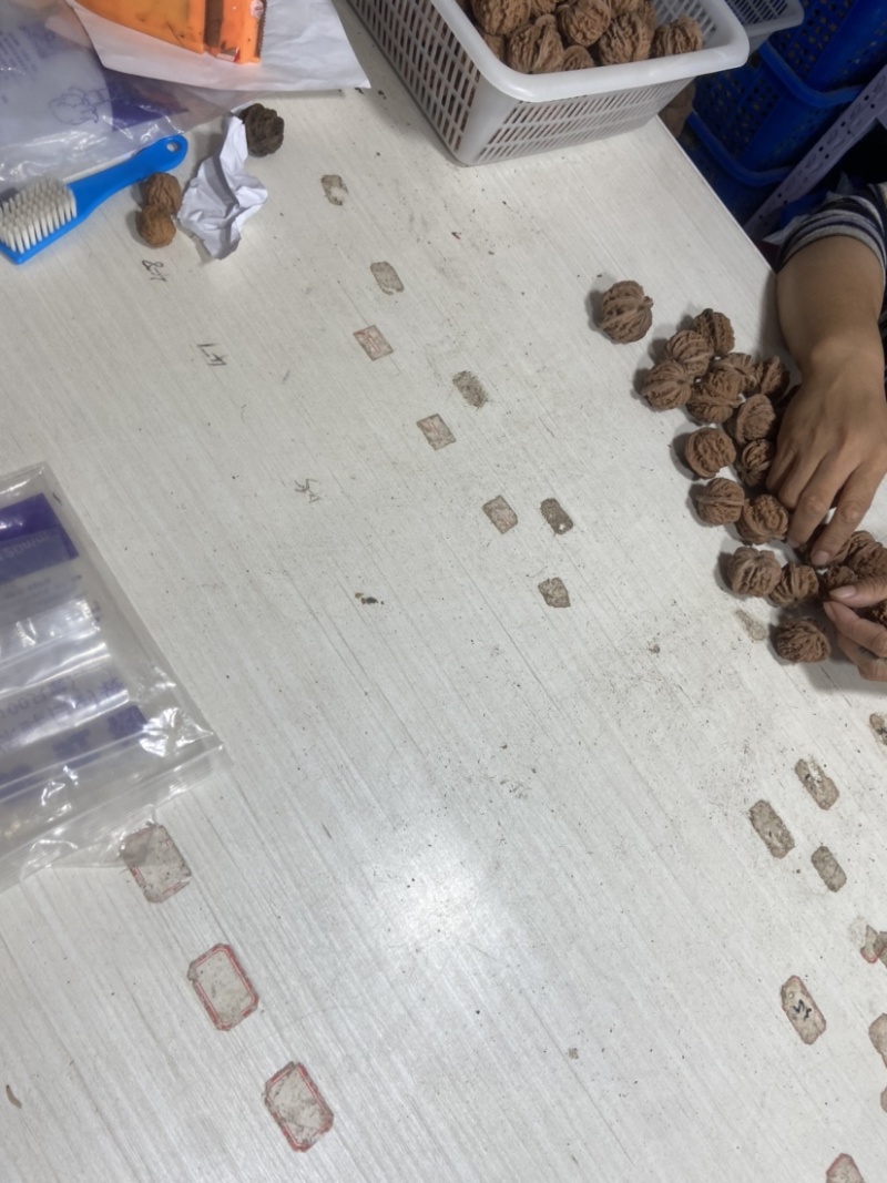 文玩核桃批发零售
