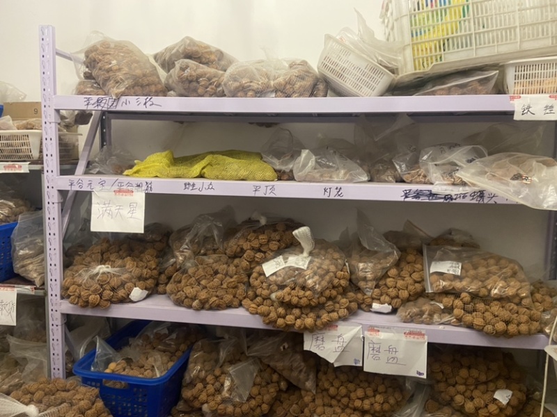 文玩核桃批发零售