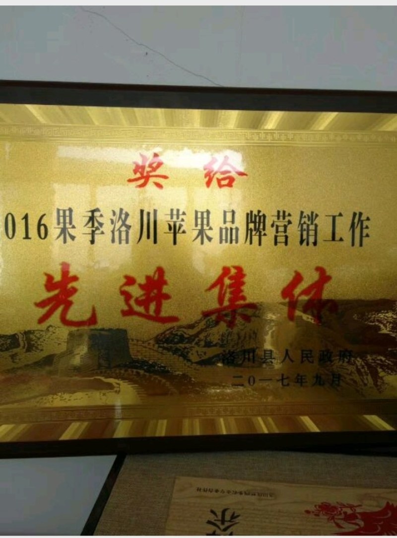 洛川晚熟富士即将大量上市，高次，下捡，颜色好，果面有瑕疵