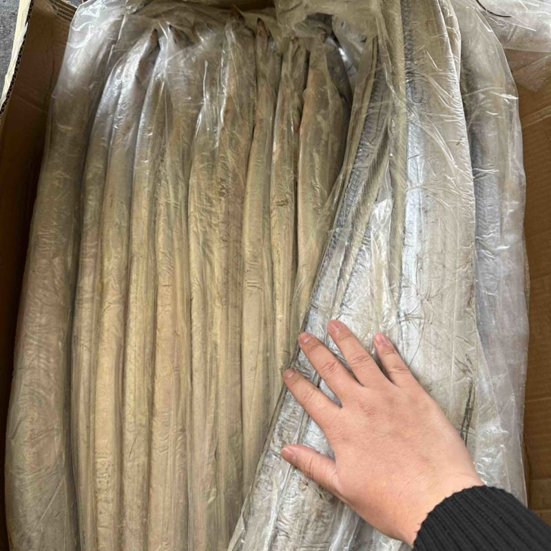 山东船冻小眼油带，产品鲜，品质保证，量大从优