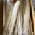 山东船冻小眼油带，产品鲜，品质保证，量大从优