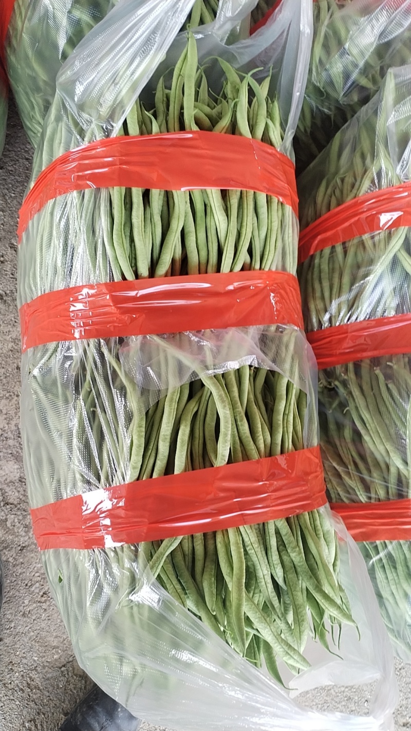 精品无筋豆大量上市