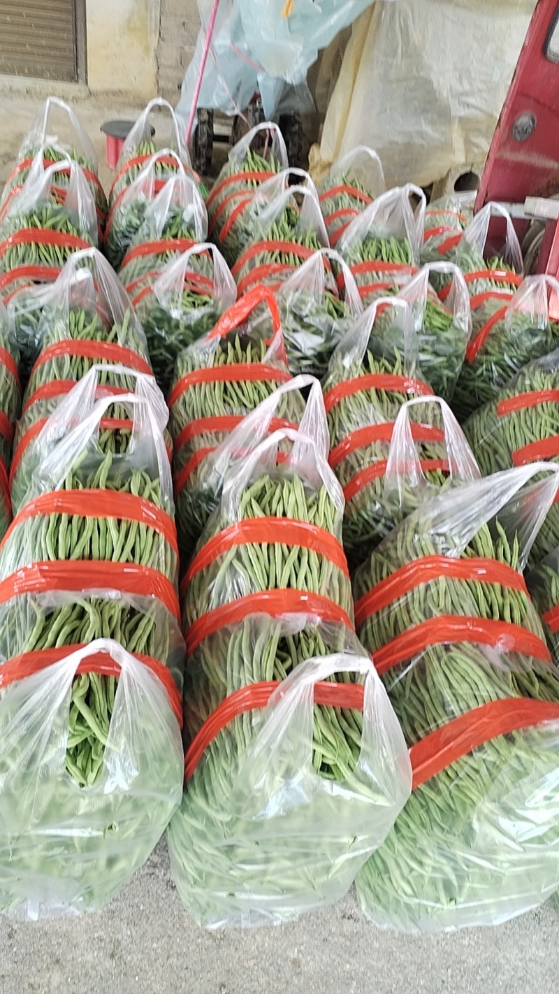 精品无筋豆大量上市