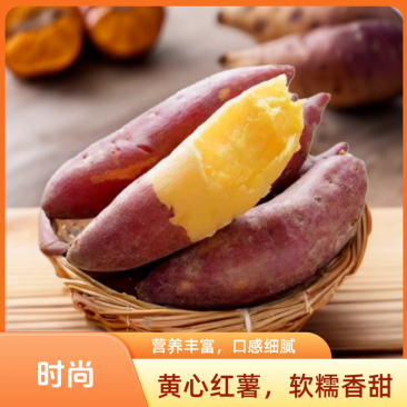 河北石家庄济薯26，精品商品薯。产地直达。
