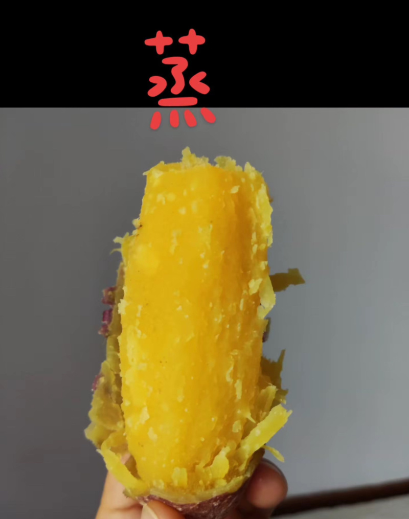 河北石家庄济薯26，精品商品薯。产地直达。