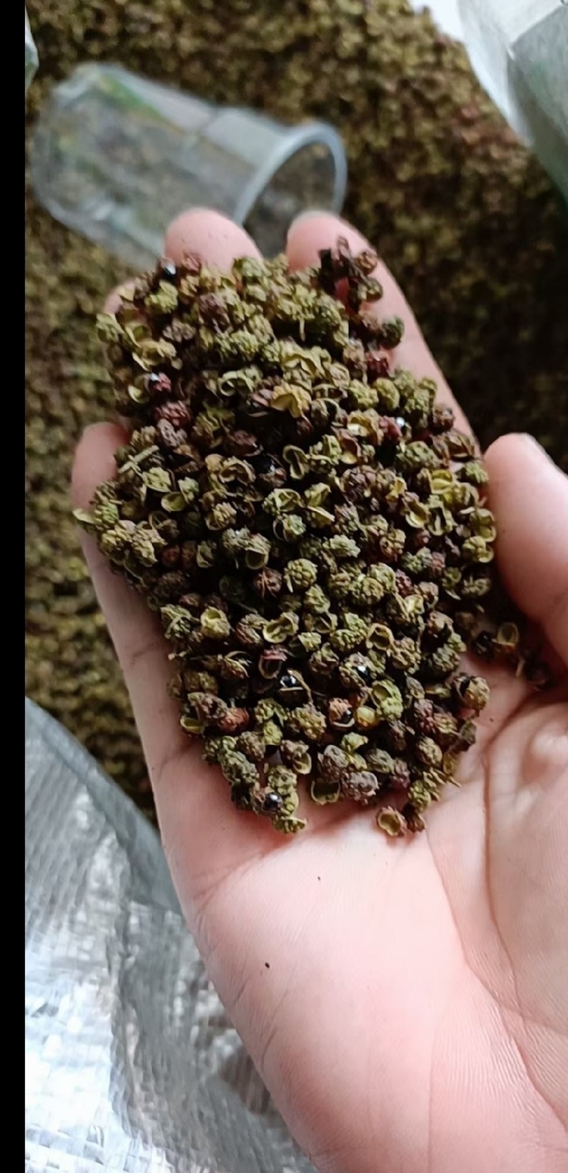 凉山金阳青花椒