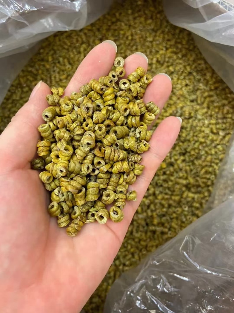 霍山铁皮石斛基地直供质量保证一手货源欢迎各地客商采购
