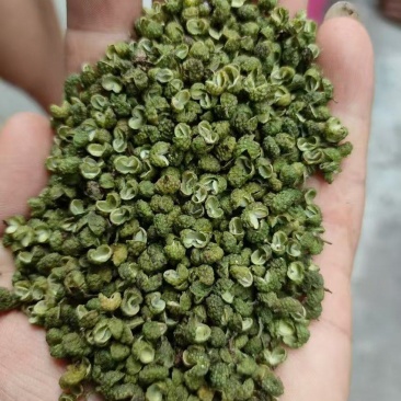 凉山金阳青花椒