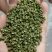 凉山金阳青花椒