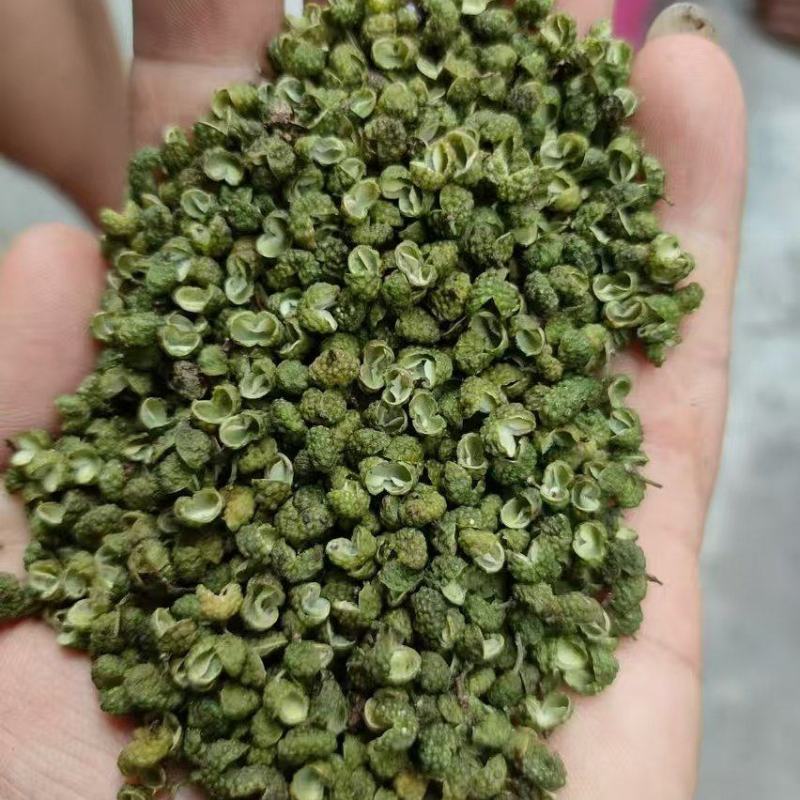 凉山金阳青花椒