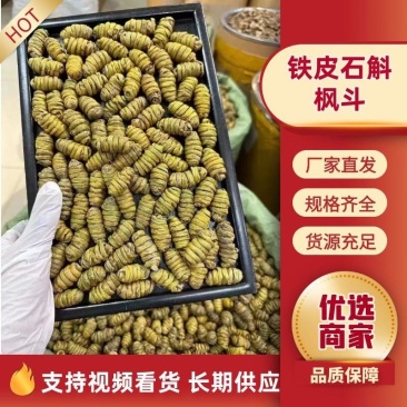 铁皮石斛枫斗霍山铁皮石斛精品一手货源欢迎联系