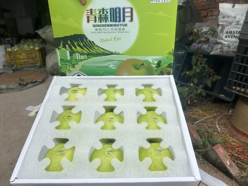 山东一手货源青森水蜜桃苹果整车走货对接全国欢迎采购热卖中