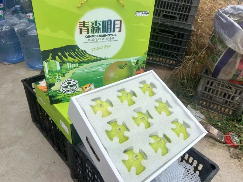 山东一手货源青森水蜜桃苹果整车走货对接全国欢迎采购热卖中