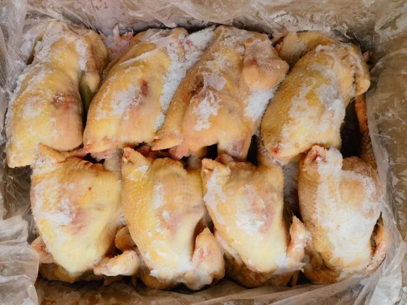 一级老母鸡，适合餐饮熟食店，一手货源，全国冷链物流发货！