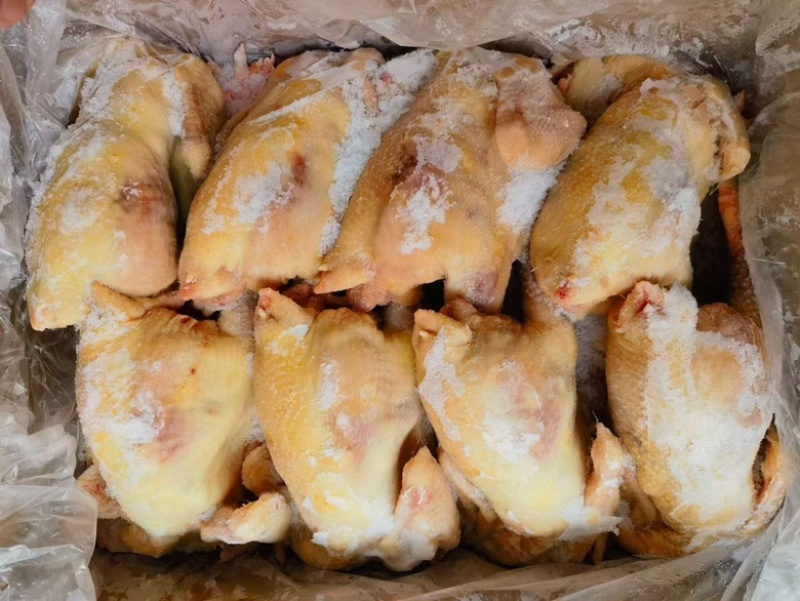 一级老母鸡，适合餐饮熟食店，一手货源，全国冷链物流发货！