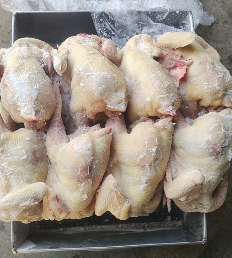 一级老母鸡，适合餐饮熟食店，一手货源，全国冷链物流发货！