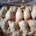 一级老母鸡，适合餐饮熟食店，一手货源，全国冷链物流发货！
