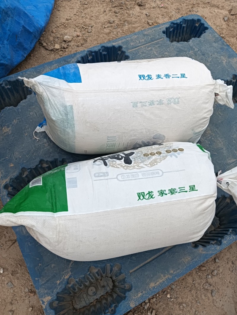 聊城黄豆面粉，臻选优质黄豆面粉，鲁西平原特产黄豆面