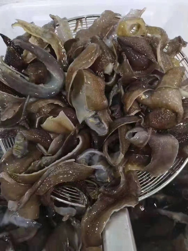 【麻辣甲鱼】泡发甲鱼裙边
