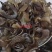 【麻辣甲鱼】泡发甲鱼裙边