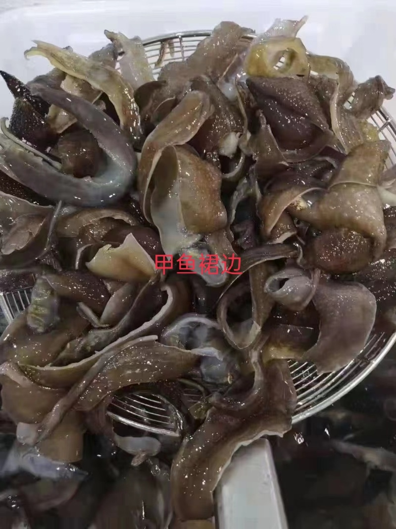 【麻辣甲鱼】泡发甲鱼裙边